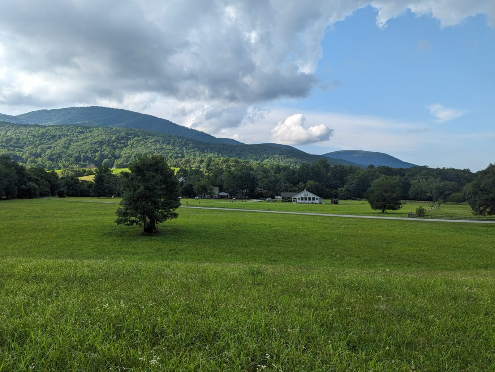 Picnic tables scattered across the cidery lawn, the Blue Ridge Mountains rising behind